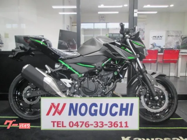 Kawasaki Z250 2024 2024 — фото 1, купить с доставкой в Москву