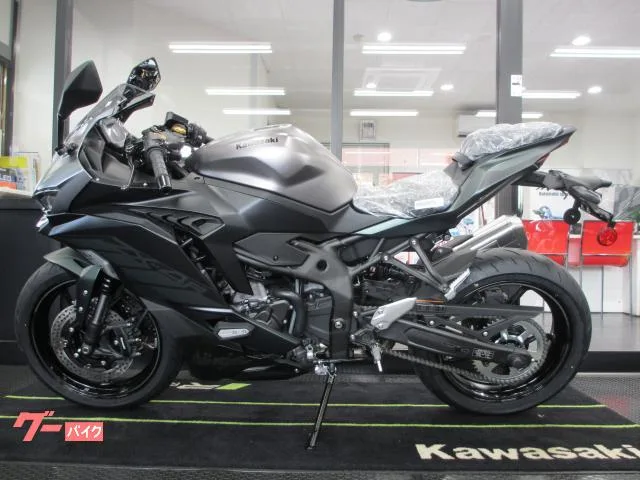 Kawasaki Ninja ZX-4R SE 2025 — миниатюра 3