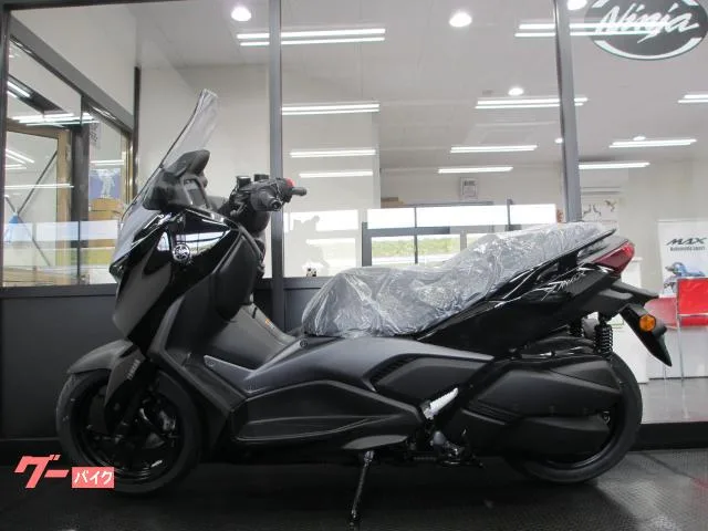 Yamaha X-MAX250 2025 — миниатюра 3