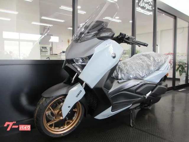 Yamaha X-MAX250 2025 — миниатюра 2