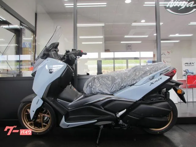Yamaha X-MAX250 2025 — миниатюра 3