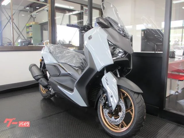 Yamaha X-MAX250 2025 — миниатюра 4