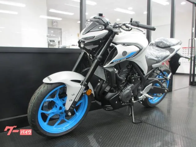 Yamaha MT-03(320cc)2025 2025 — миниатюра 2