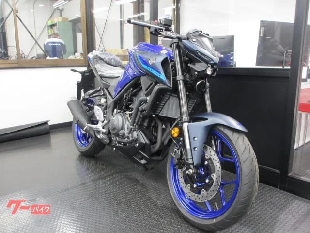 Yamaha MT-03(320cc)2025 2025 — миниатюра 4