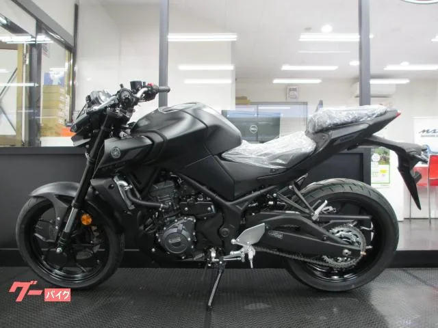 Yamaha MT-03(320cc)2025 2025 — миниатюра 3