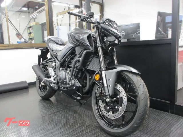 Yamaha MT-03(320cc)2025 2025 — миниатюра 4