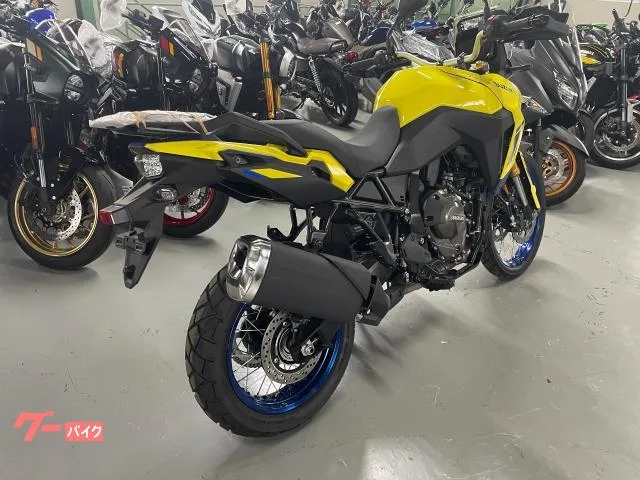 Suzuki V- 800DE 2025 — миниатюра 3