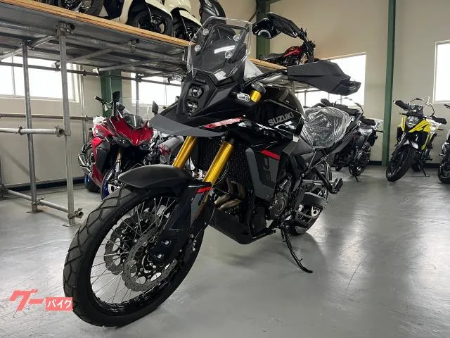 Suzuki V- 800DE 2025 — миниатюра 4
