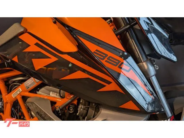 KTM 390 SW 2023 — миниатюра 3