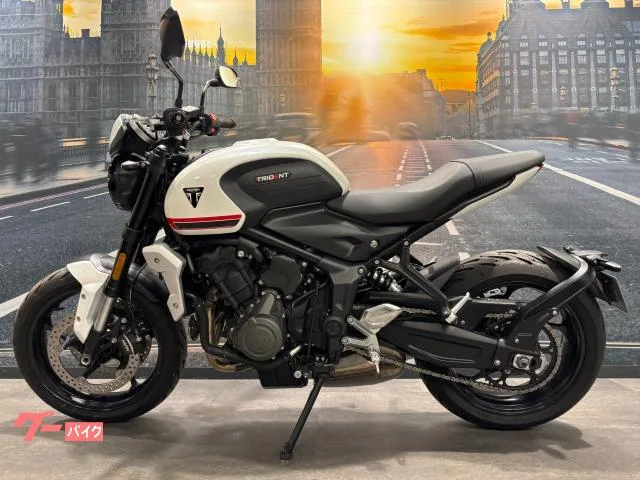 TRIUMPH 660 2022 — миниатюра 2