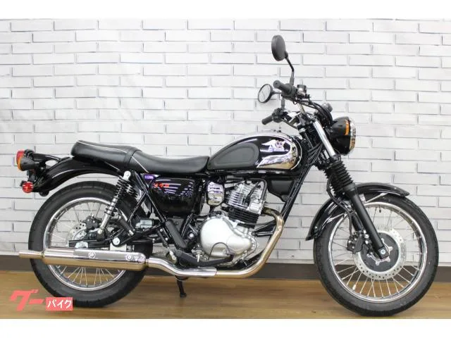 Kawasaki S1/// 2025 — миниатюра 3