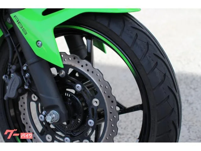 Kawasaki Ninja 250 KRT Edition 2023 — миниатюра 4