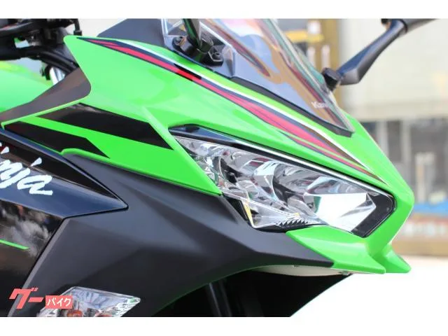 Kawasaki Ninja 250 KRT Edition 2023 — миниатюра 5