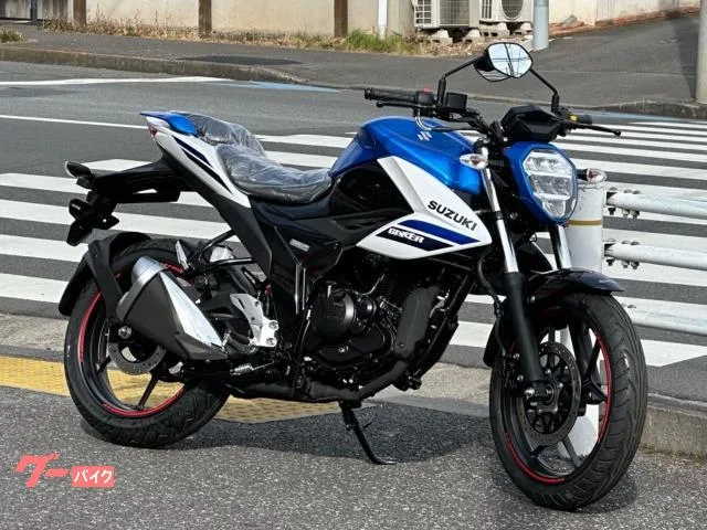 Suzuki GIXXER 150 ABS M5 2025 — фото 1, купить с доставкой в Москву