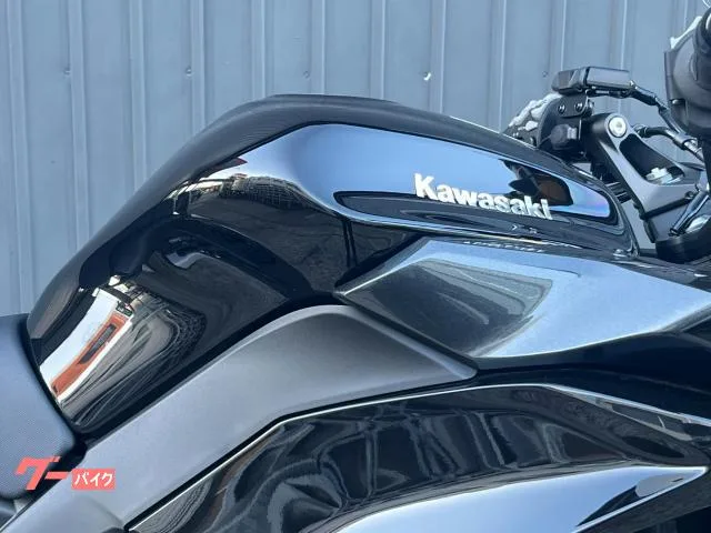 Kawasaki Ninja 1100 SX ETC2.0 2025 — миниатюра 3