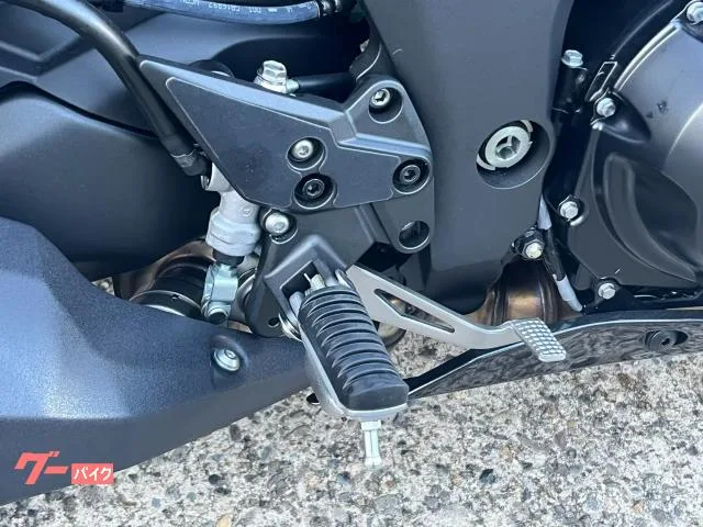 Kawasaki Ninja 1100 SX ETC2.0 2025 — миниатюра 5