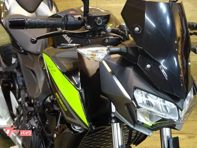 Kawasaki Z250 ABS ETC2.0 2022 — миниатюра 4