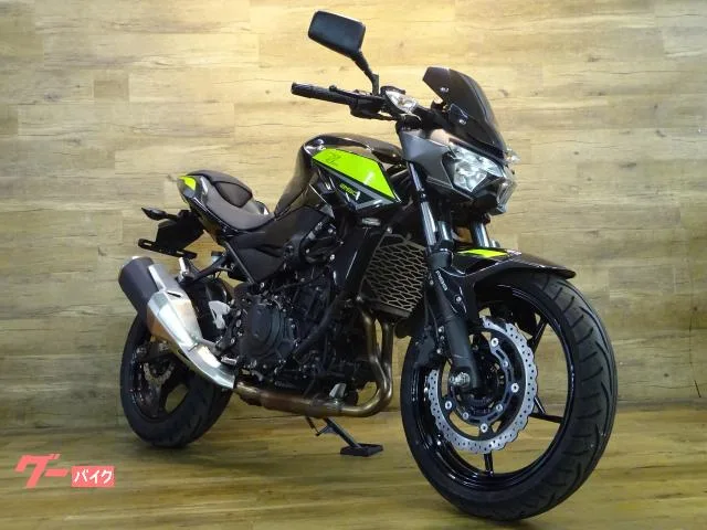 Kawasaki Z250 ABS ETC2.0 2022 — фото 1, купить с доставкой в Москву