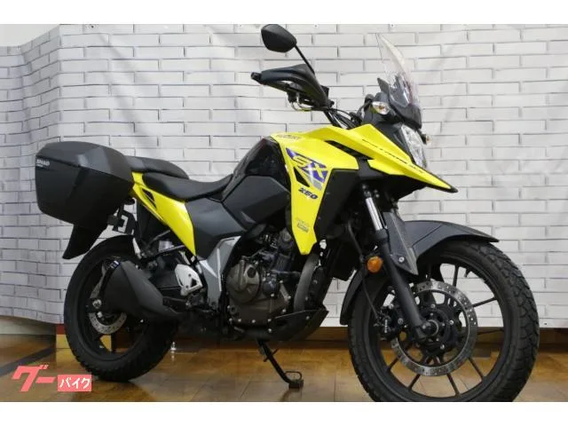 Suzuki V- 250SX ETC 2022 — фото 1, купить с доставкой в Москву