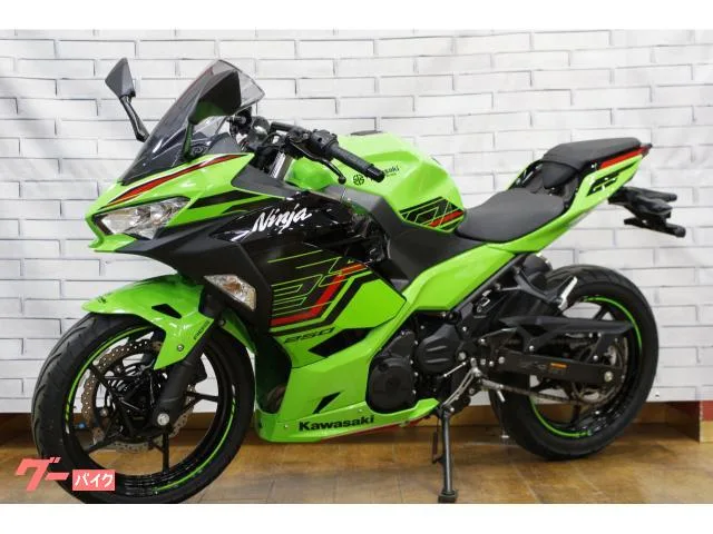 Kawasaki Ninja 250 2023 — миниатюра 2
