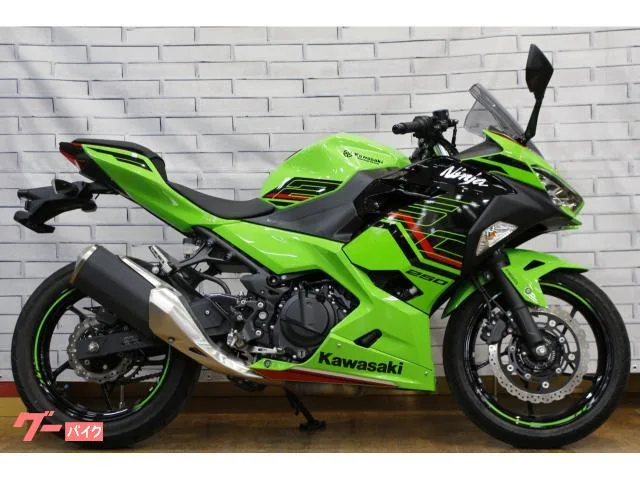 Kawasaki Ninja 250 2023 — миниатюра 3