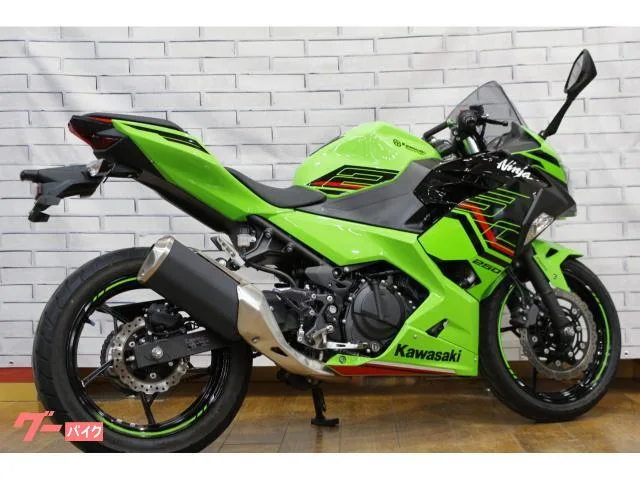 Kawasaki Ninja 250 2023 — миниатюра 4