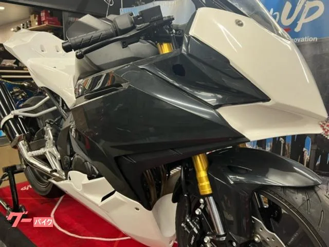 Honda CBR250RR 2023 2023 — миниатюра 3