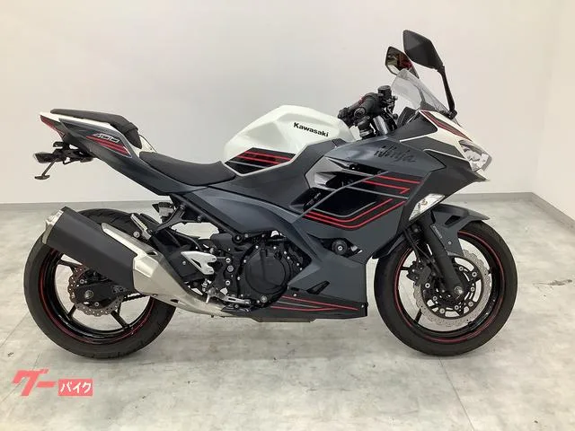 Kawasaki Ninja 400 2024 — миниатюра 4