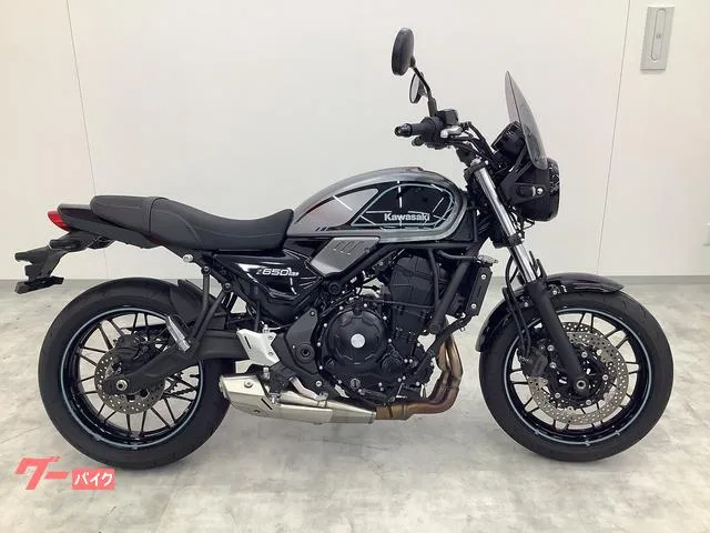 Kawasaki Z650RS 2023 — миниатюра 4
