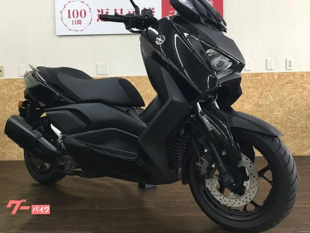 Yamaha X-MAX250 2024 — миниатюра 4