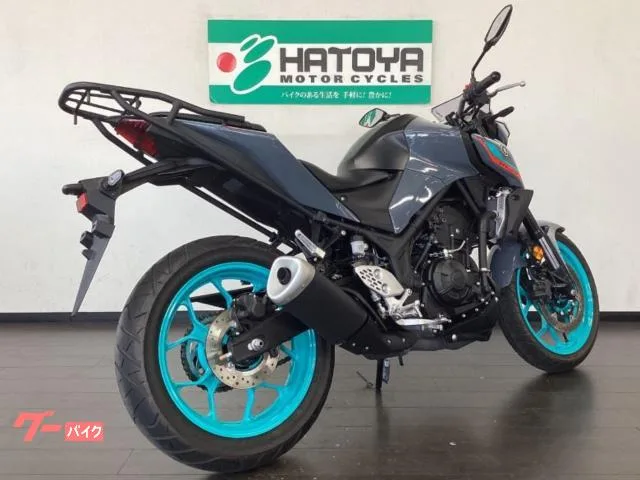 Yamaha MT-25 RG74J 2022 — миниатюра 4