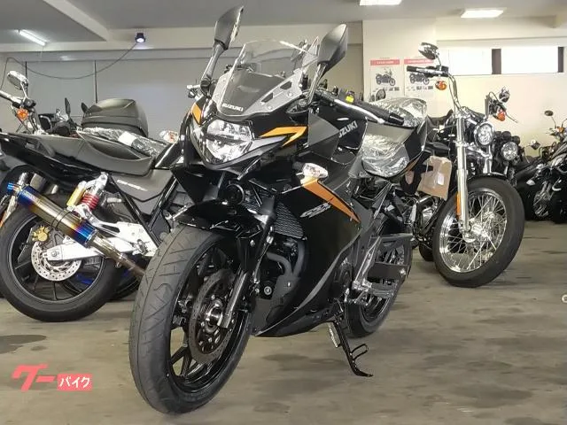 Suzuki GSX250R 2024 — миниатюра 3