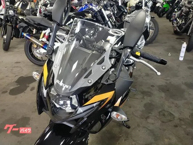 Suzuki GSX250R 2024 — миниатюра 5