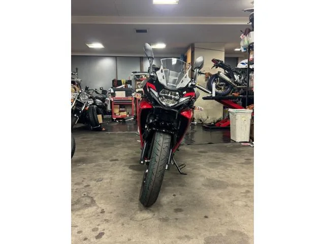 Suzuki GSX250R 2024 — миниатюра 4