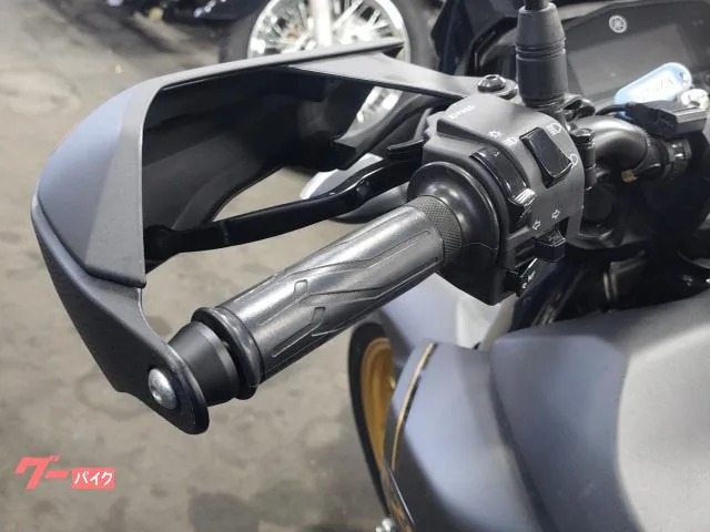 Yamaha FZS25 2022 — миниатюра 2
