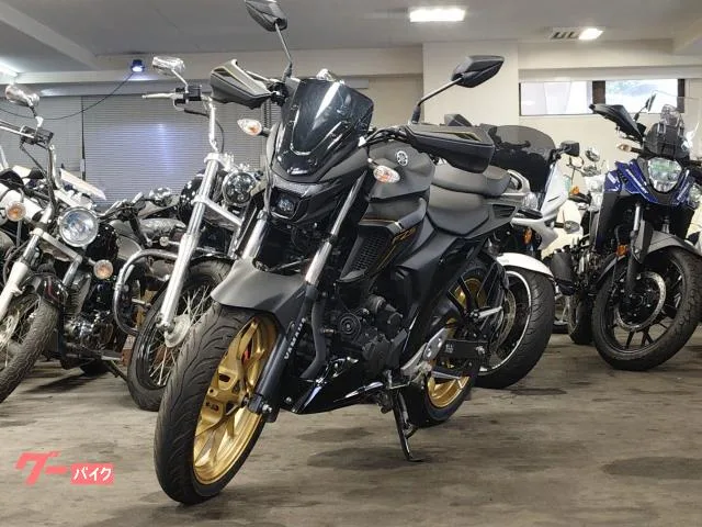 Yamaha FZS25 2022 — миниатюра 3