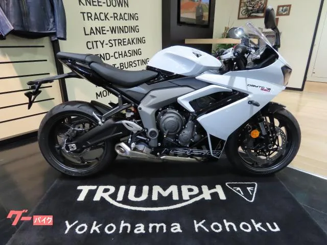 TRIUMPH 660 2025 — миниатюра 3
