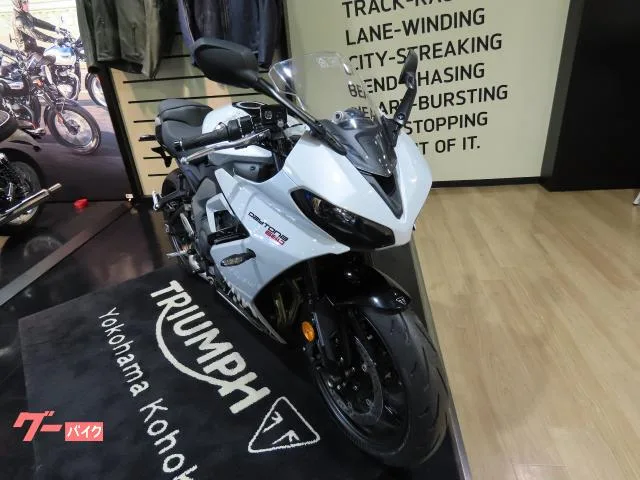 TRIUMPH 660 2025 — миниатюра 5