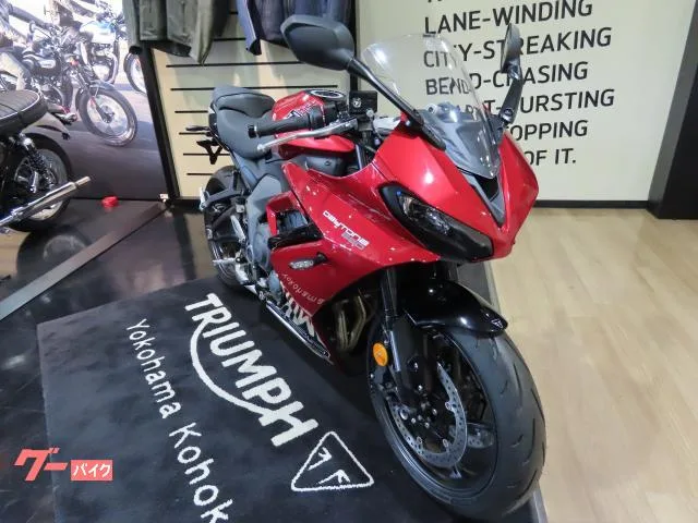 TRIUMPH 660 2025 — миниатюра 5