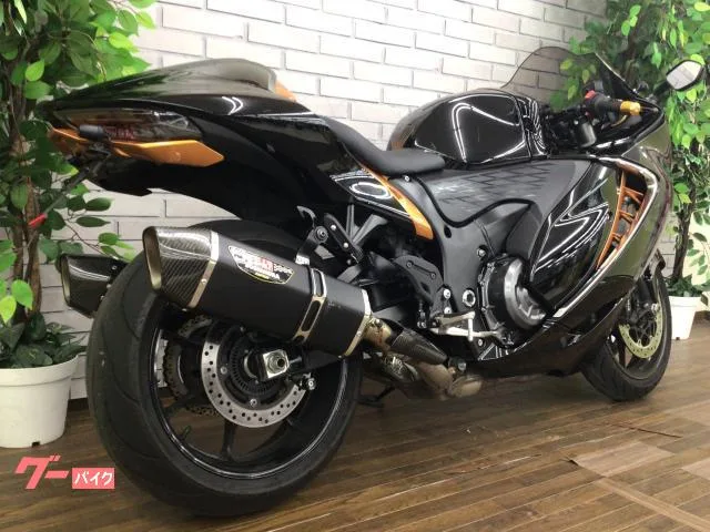Suzuki (GSX1300R Hayabusa) 2022 — миниатюра 2