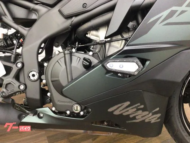 Kawasaki Ninja ZX-4R SE 2025 — миниатюра 2