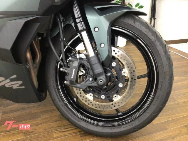 Kawasaki Ninja ZX-4R SE 2025 — миниатюра 4