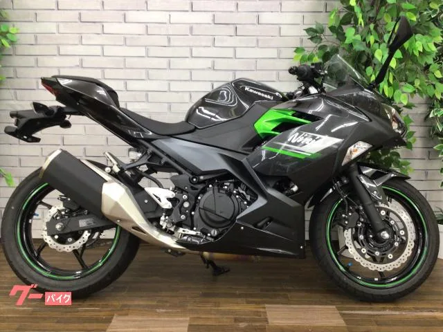 Kawasaki Ninja 250 2024 — миниатюра 3