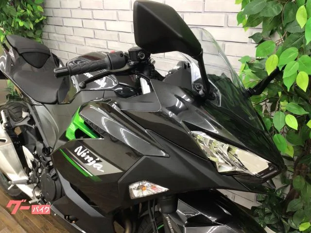 Kawasaki Ninja 250 2024 — миниатюра 5