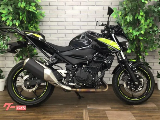 Kawasaki Z250 2022 — миниатюра 3