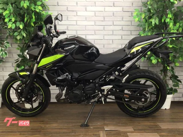Kawasaki Z250 2022 — миниатюра 5