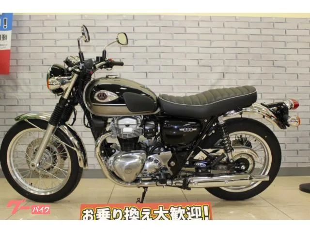 Kawasaki W800 2024 — миниатюра 2