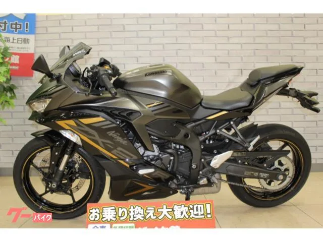 Kawasaki Ninja ZX-25R SE 2022 — миниатюра 2