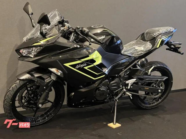 Kawasaki Ninja 250 x 2026 — миниатюра 2