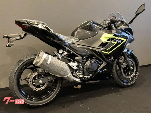 Kawasaki Ninja 250 x 2026 — миниатюра 3